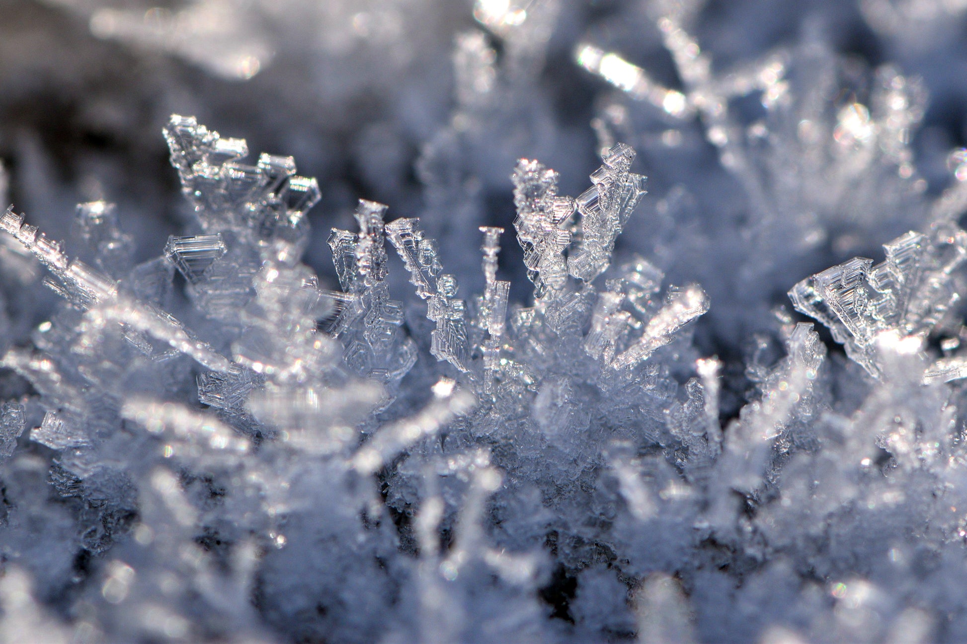 Cryo Firming Ampoules (Frozen) - Ampoule