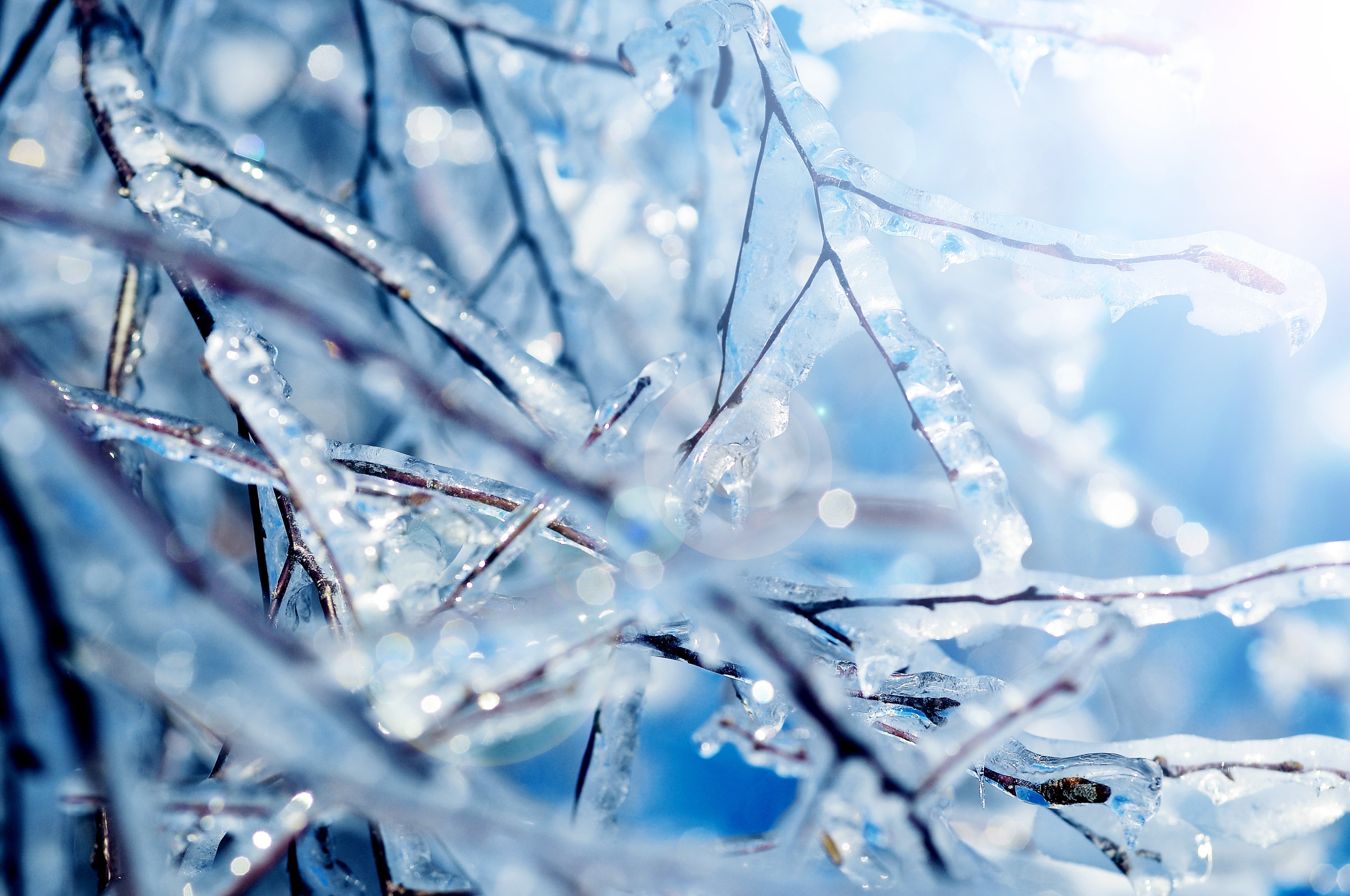 Cryo Moisturizing Ampoules (Frozen) - Ampoule