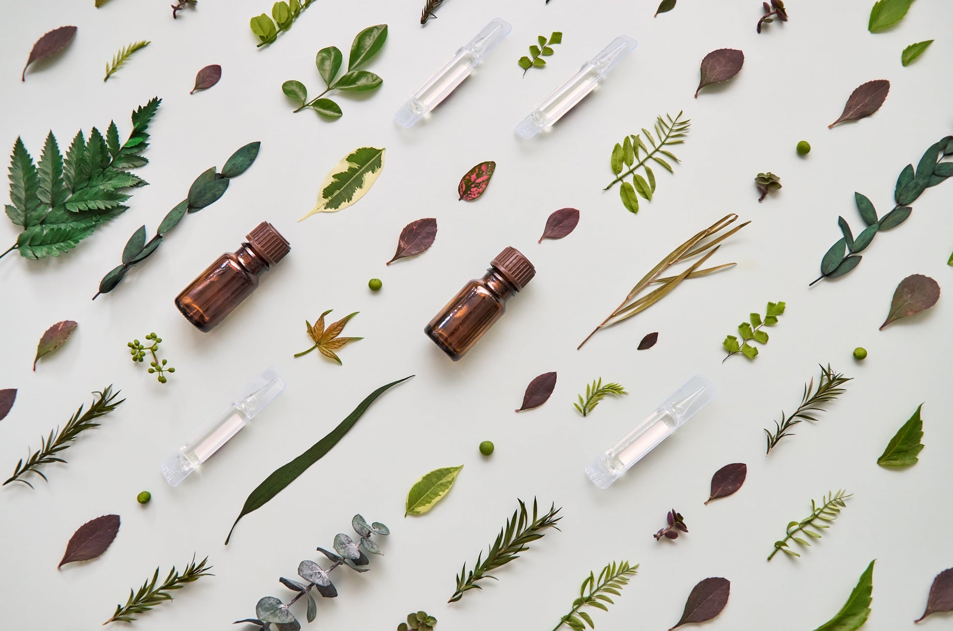 Shea Butter Ampoules - Ampoule